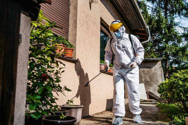 Pest Control Cost in Alexandria, KY