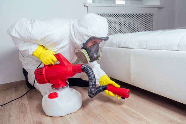 Best Pest Removal Services  in Alexandria, KY