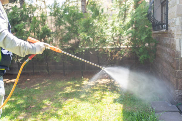 Best Flea Control Services  in Alexandria, KY
